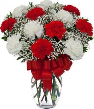 Red and White carnations vase Red and White carnations vase